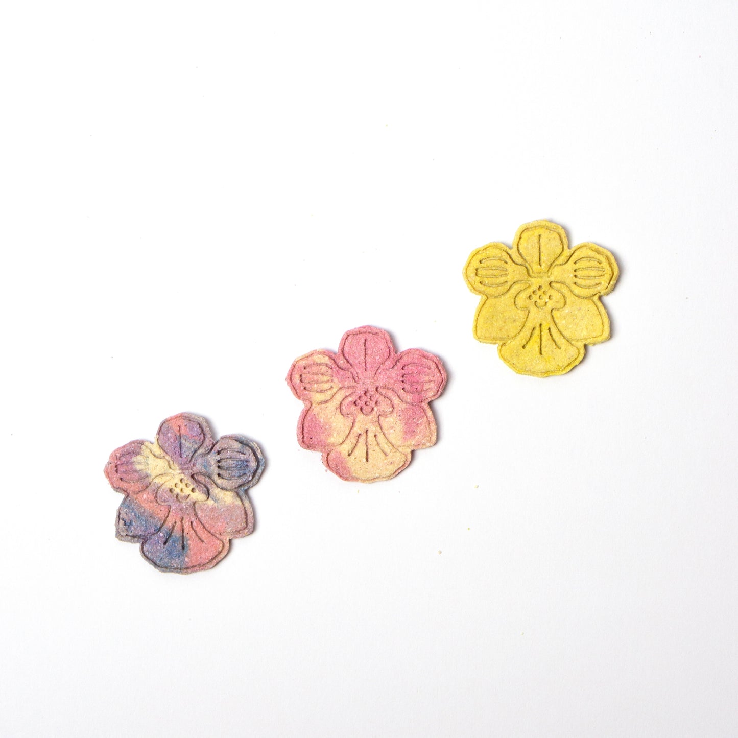 Vanda Pack