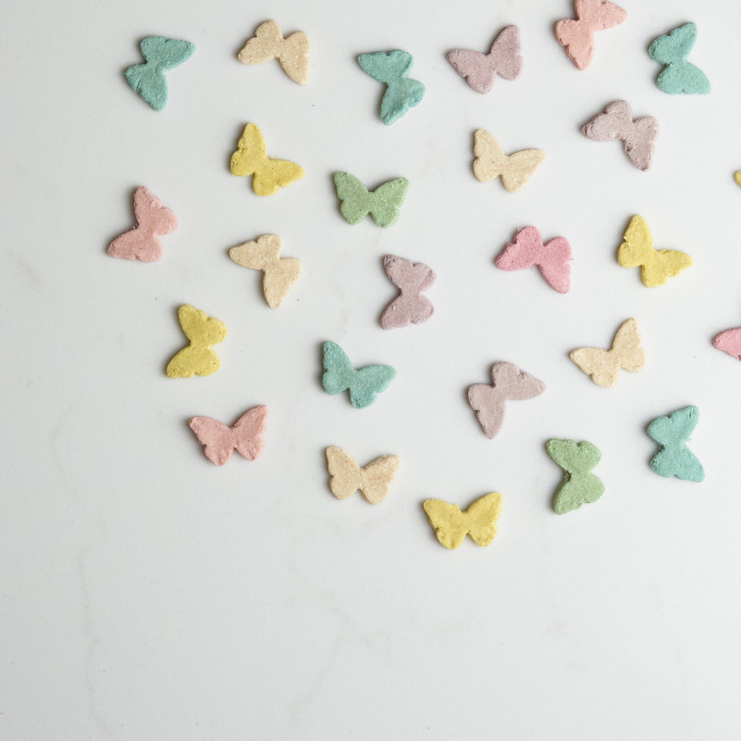 Little Flutter Pack