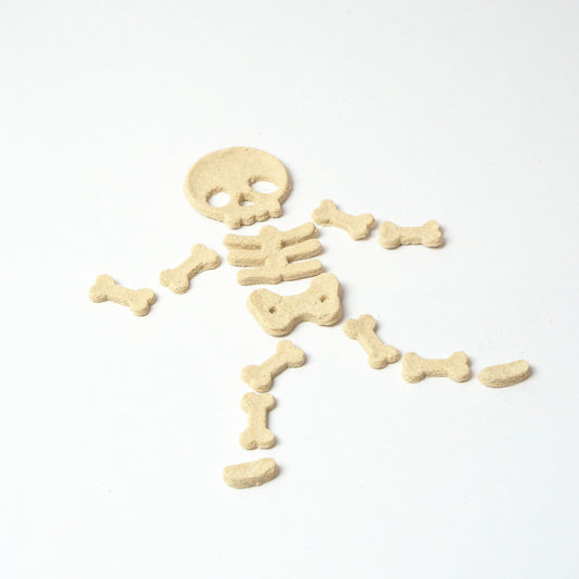 Mr. Bones